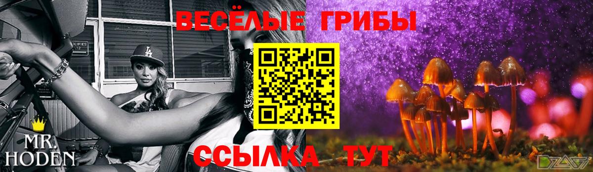 Псилоцибиновые грибы Psilocybine cubensis  Галлюциногенные грибы прущие грибы  Вход с VPN  Вольск 
